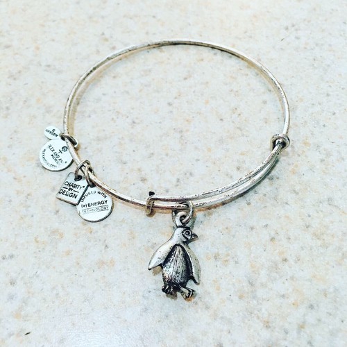 Alex And Ani Penguin 🐧 Silver Tone Bangle Bracelet eBay