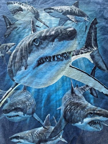 The Mountain Tee Sharks Sea Ocean Print Monterey CA Tie Dye T Shirt XL - Picture 1 of 8
