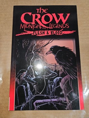 The Crow Midnight Legends Vol. 2 Flesh & Blood IDW Trade Paperback