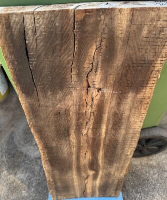 1284 Curly Eucalyptus wood ,turning blank ,hybrid Scale,Dried,35''x 16''x 2 1/8''