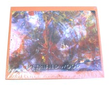 Petrified Forest National Park Puzzles