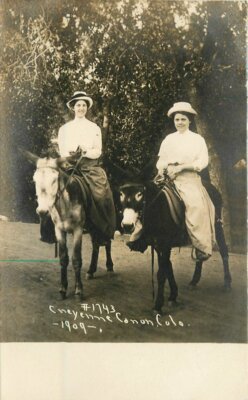 Cheyenne Canon Colorado #1743 1909 Women Mules RPPC Photo Postcard 20-1319