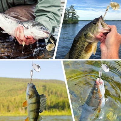 best spinning reels for salmon fishing Species - Salmon Fishing - Salmon Reels - Page 1