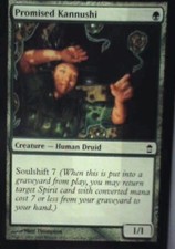 Promised Kannushi - Saviors of Kamigawa: #141, Magic: The Gathering Nm R76