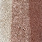 Bild 7 von 12