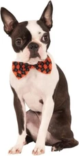 Rubie's Pet Shop Argyle Bow Tie Costume For Christmas Halloween (Size Options)