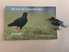 None RSPB Badge CHOUGH with backing card
