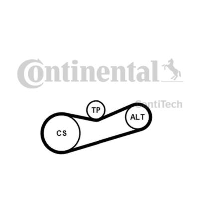 Cinghia Poly-V Continentale CTAM 6PK2581 – Per Volkswagen Crafter 2.5 TDI – Ricambio Equivalente A 076260849 - 2