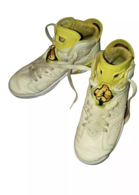 air jordan retro 6 floral