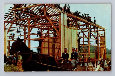 Postcard Amish barn raising from the Penna. Dutch Country  Lancaster PA.  C-11