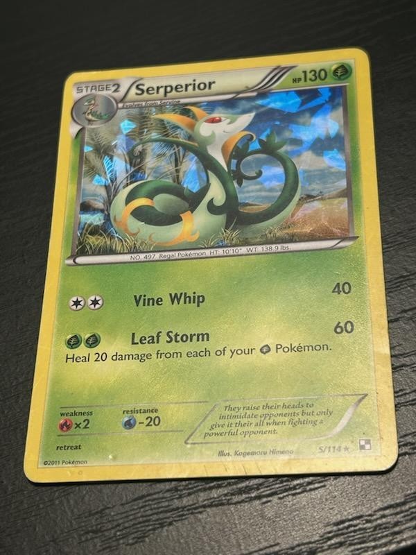 Pokemon Serperior 5/114 Black & White Cracked Ice Holo Rare - MP