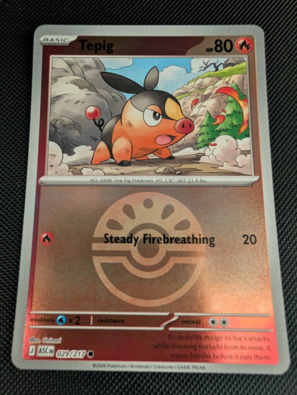 Pokemon Tepig Reverse Holo Ascended Heroes 29 Near Mint