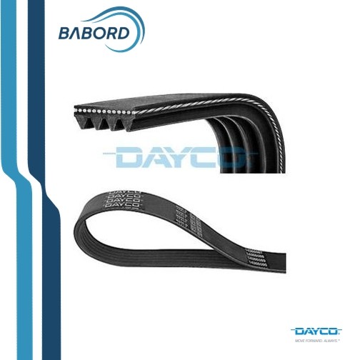 Cinghia trapezoidale multirighe 4PK1100 DAYCO per FIAT TOYOTA NISSAN ALFA ROMEO - Immagine 2