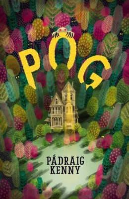 POG by Pdraig Kenny Paperback Self Help Business