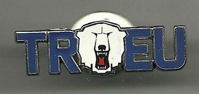 EISHOCKEY PIN  EISBÄREN BERLIN TREU    252    DEL NHL