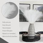 Bild 11 von 18