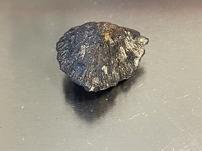 Eisen Pyrit Knötchen extrem seltenes Exemplar Metall sieht aus wie Stein Narren Gold