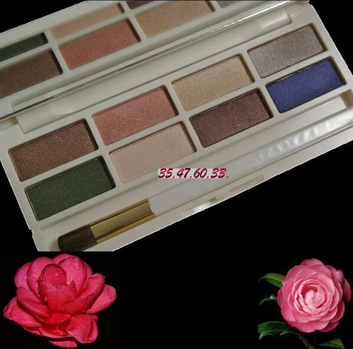 Estee Lauder Lilly Pulitzer 8 Eyeshadow Hot Cinnamon Nude Fresco Sugar Biscuit - Picture 2 of 6