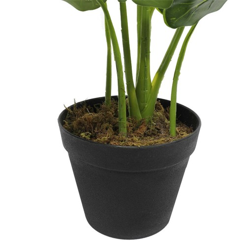 Artificial Potted Taro Plant / Elephant Ear 55cm - Picture 3 of 3