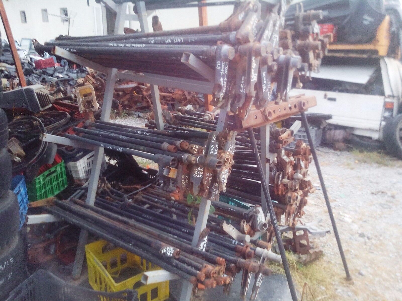 Picture 6 of 6