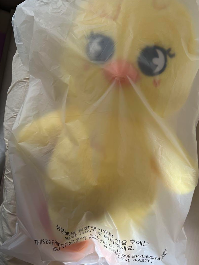 Stray Kids Skzoo BbokAri Felix Plush Doll 60cm Teddy Ver SKZ