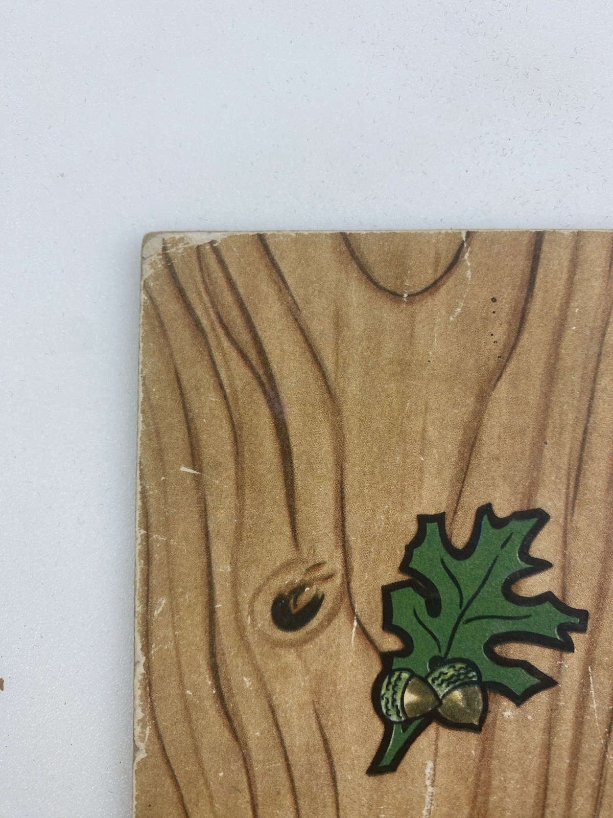 Picture 7 of 11