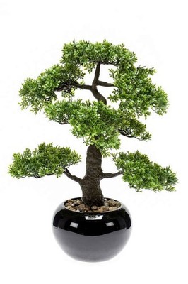 artplants Kunst Bonsai Ficus Asher im Keramiktopf, 45cm