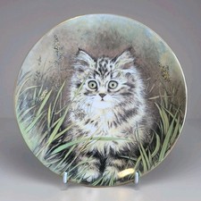 Royal Worcester/Hamilton Kitten Classics 'Wild Flower' plate, immaculate! 20 cm