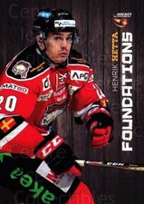 2014-15 Swedish Hockey Allsvenskan Foundations #5 Henrik Hetta