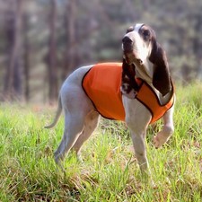 GIACCHETTO PROTETTIVO ANTIZANNA per CANI da CACCIA al CINGHIALE - FPJ