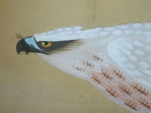 PEINTURE JAPONAISE AIGLE rollbild KAKEMONO SCROLL HAND PAINTED JAPANESE EAGLE - Picture 7 of 10