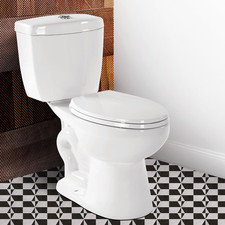 17  Comfort Height Toilet with Soft Close Seat, Two Piece Toilets for Bathroom,