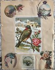 14 Pages of 1880’s Victorian Trade Cards and Ephemeral, Frog Duck Humor Cards — photo 9