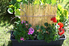Bambus Rankhilfe Blumenkasten Spalier 50 x 50 cm Rankgitter Handarbeit NiRos