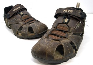 blue heeler chelsea boots