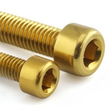 Aluminium Engine Kit Suzuki RG500 ESU045 Gold | Pro-Bolt