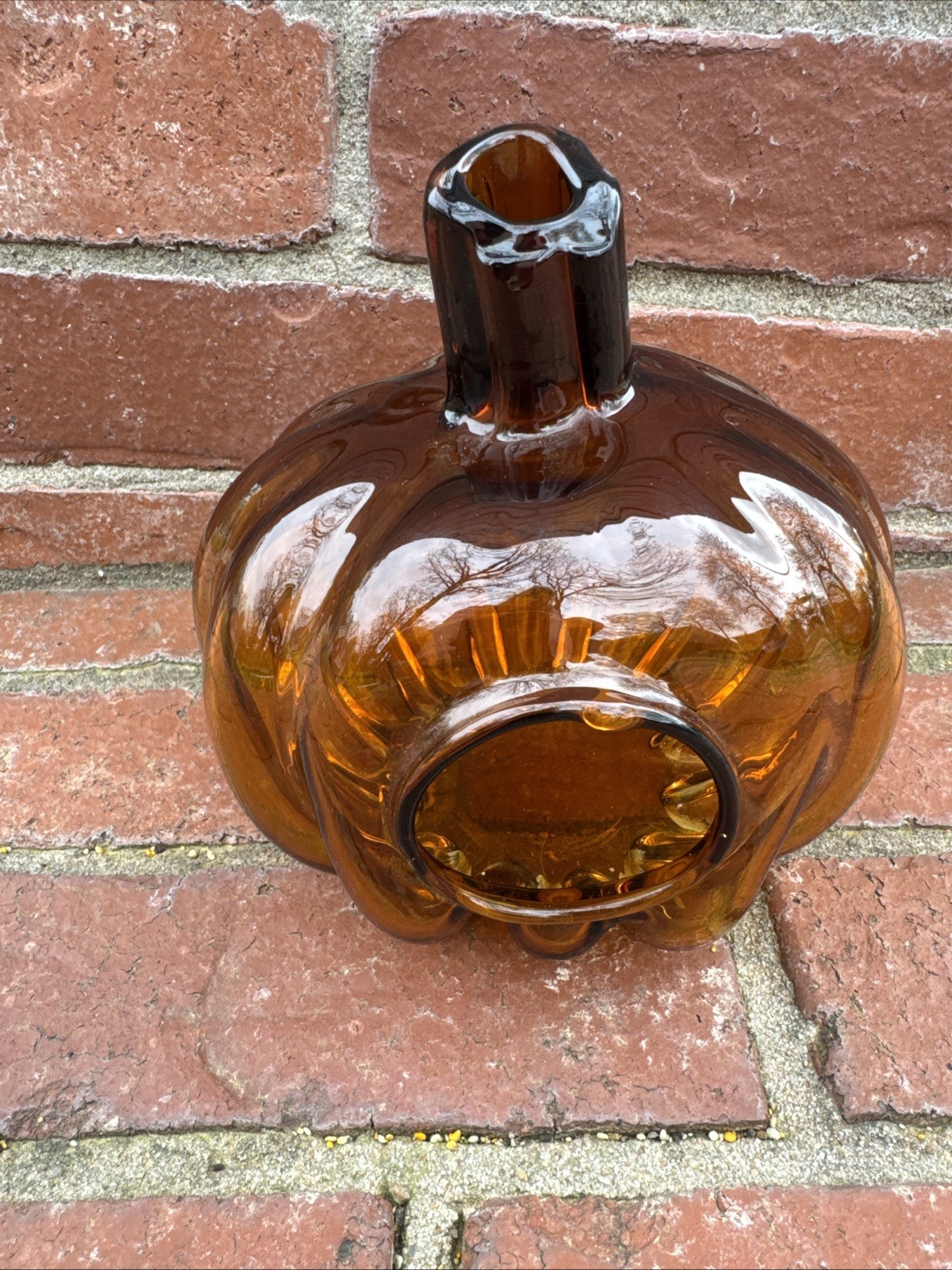 Or Terrarium