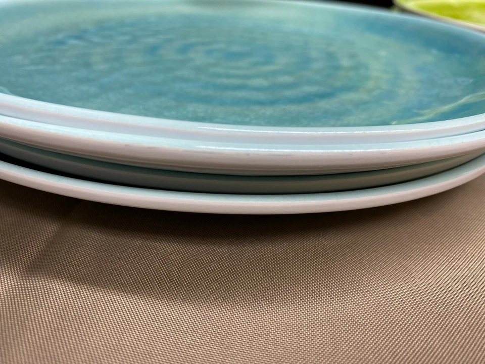 Lote de 16 piezas ~ Cuencos, platos de melamina Nicole Miller "SUCCULENTO DESIERTO FLORAL" Foto 4 de 4