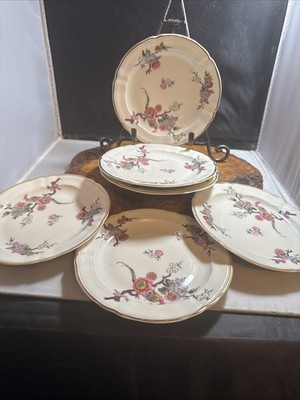 Bernardaud Limoges France ''Bengali''  BIRD OF PARADISE Plates Set Of 6 (X)