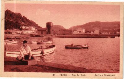 Old postcard AK Algeria-Ténés-View of the Port (236516)