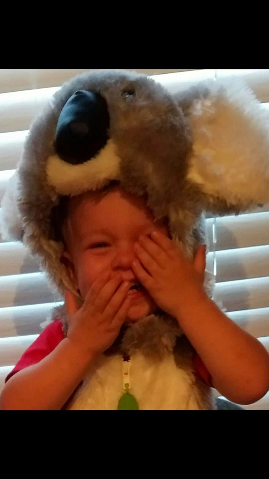 Хэллоуин KOALA медведь костюм малыша 6 - 24mo австралийский зоопарк детский костюм играть - Изображение 2 из 4