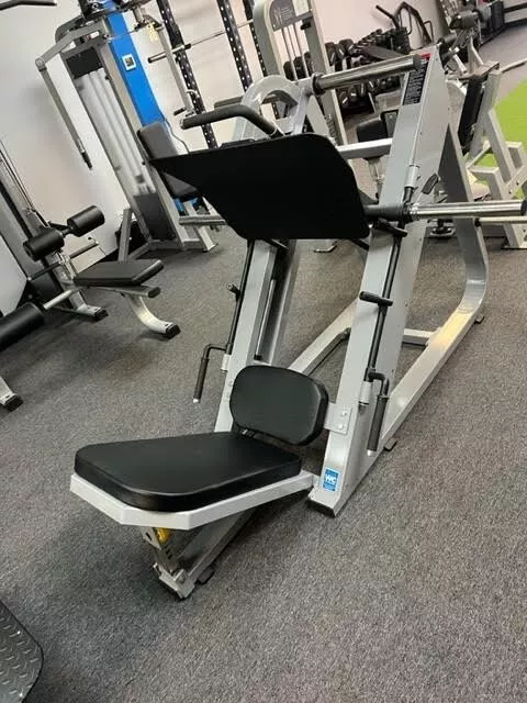 Flex fitness leg press sales