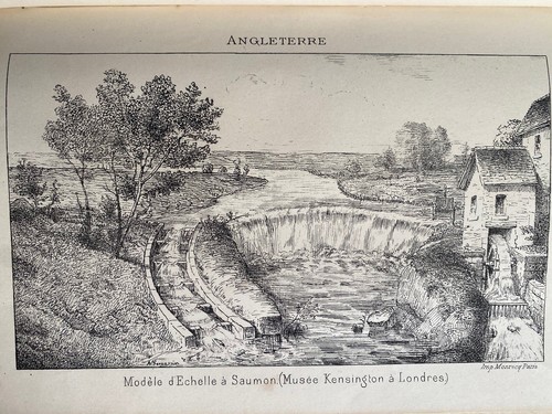 Traité de pisciculture pratique et d'aquiculture. Bouchon Brandely Gravures 1876 - Picture 15 of 23