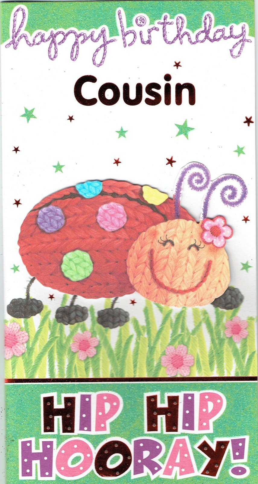 COUSIN BIRTHDAY CARD - Quality wooly Ladybird Design