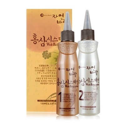 JAYEON BARAM Ginseng Cystein   Wellbeing Perm Easy Self Wave Perm K-Beauty NEU