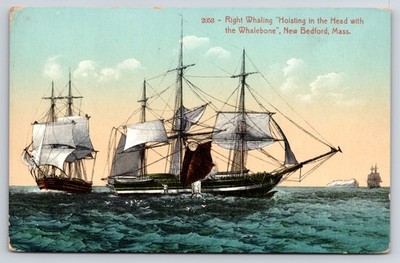 Right Whaling Hoisting the Head New Bedford MA Hutchinson Co Germany PC