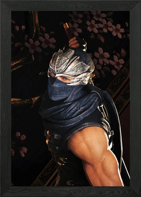 Ninja Gaiden Ryu Hayabusa Gerahmtes Wandbild Poster Leinwanddruck Bild