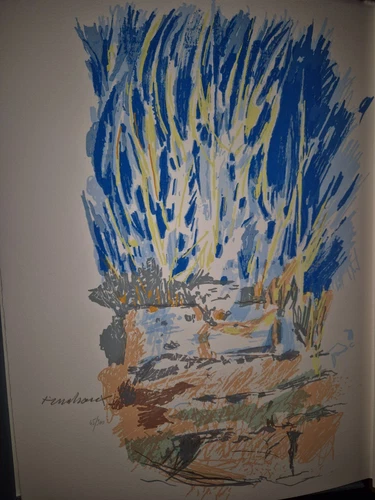 MALVAUX BOSCO CHEMINS SECRETS (1991)  LIVRE D'ARTISTE COMPLET SOUS COFFRET BOIS