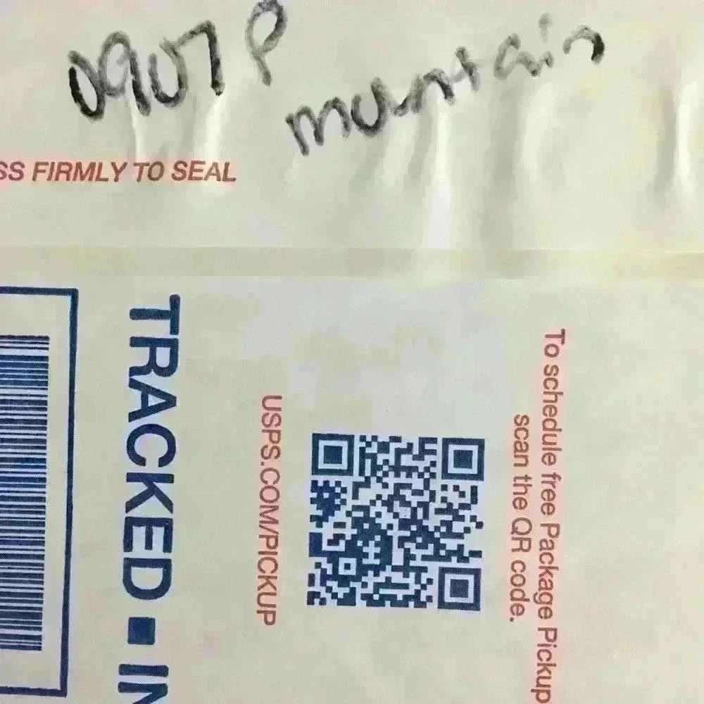 Mountain Hardware Women’s Blue Button Down Short … - image 5