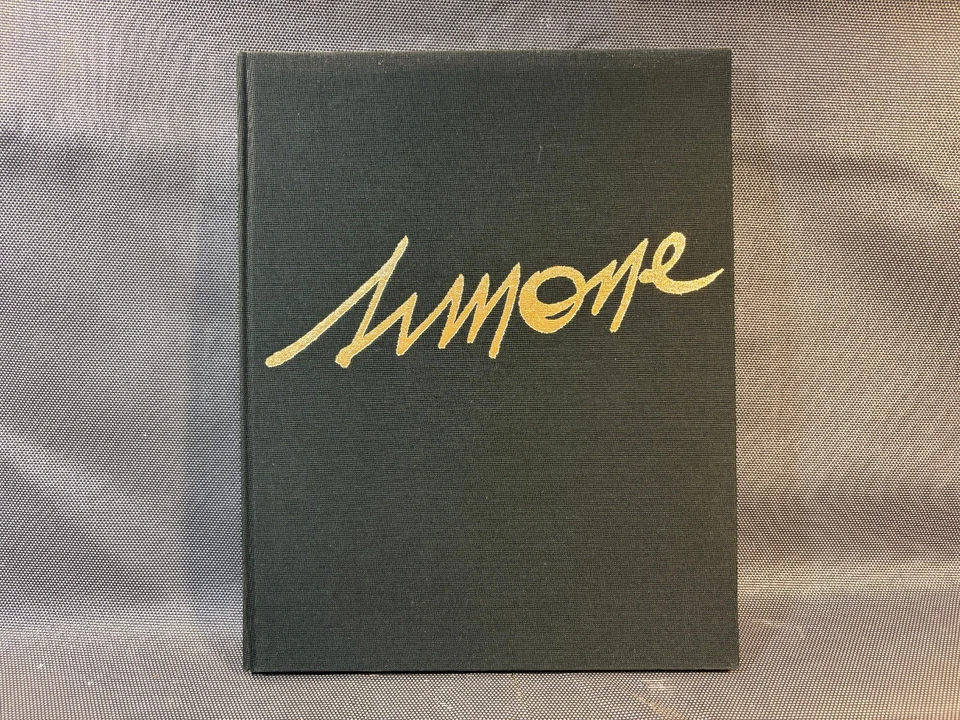 Ancien livre de Simone "Recontre fortuite" relié avec jaquette Art peinture - Photo 3/4